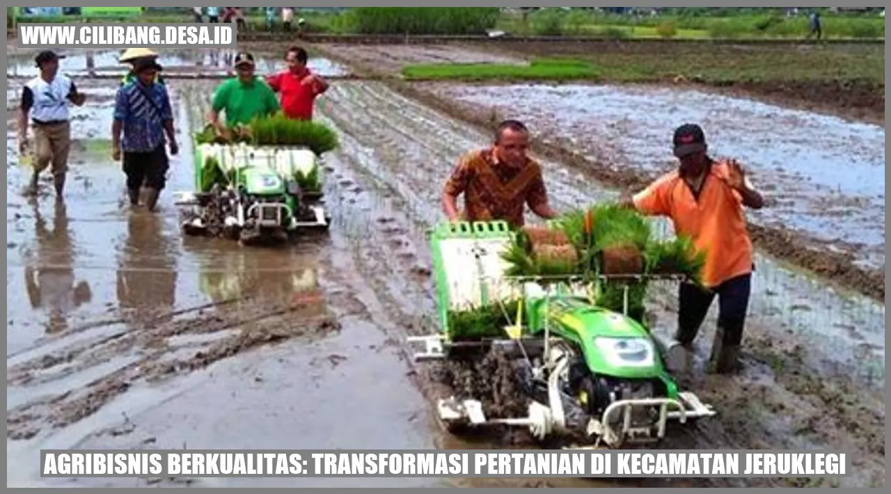 Agribisnis Berkualitas: Transformasi Pertanian di Kecamatan Jeruklegi