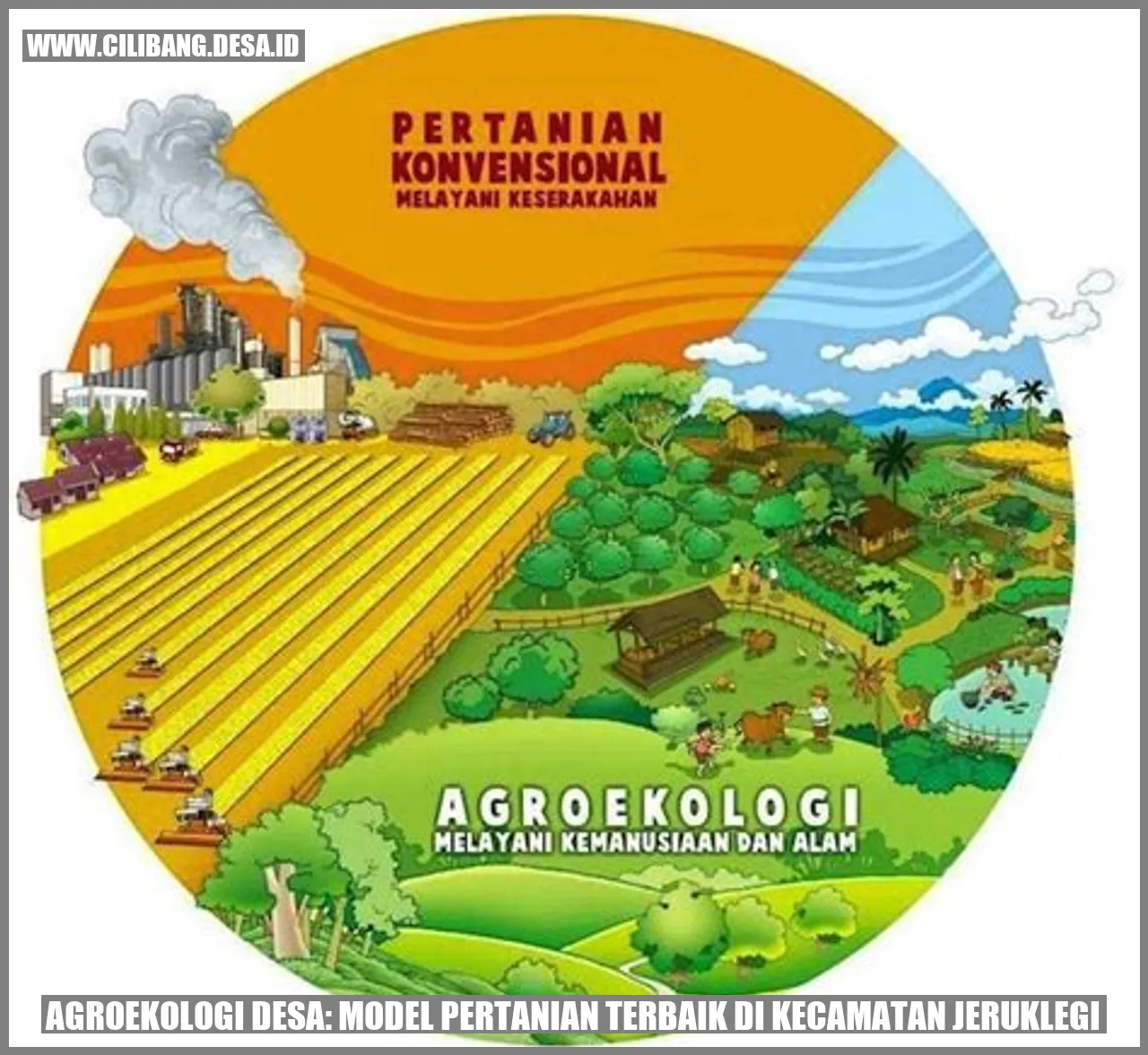 Agroekologi Desa: Model Pertanian Terbaik di Kecamatan Jeruklegi
