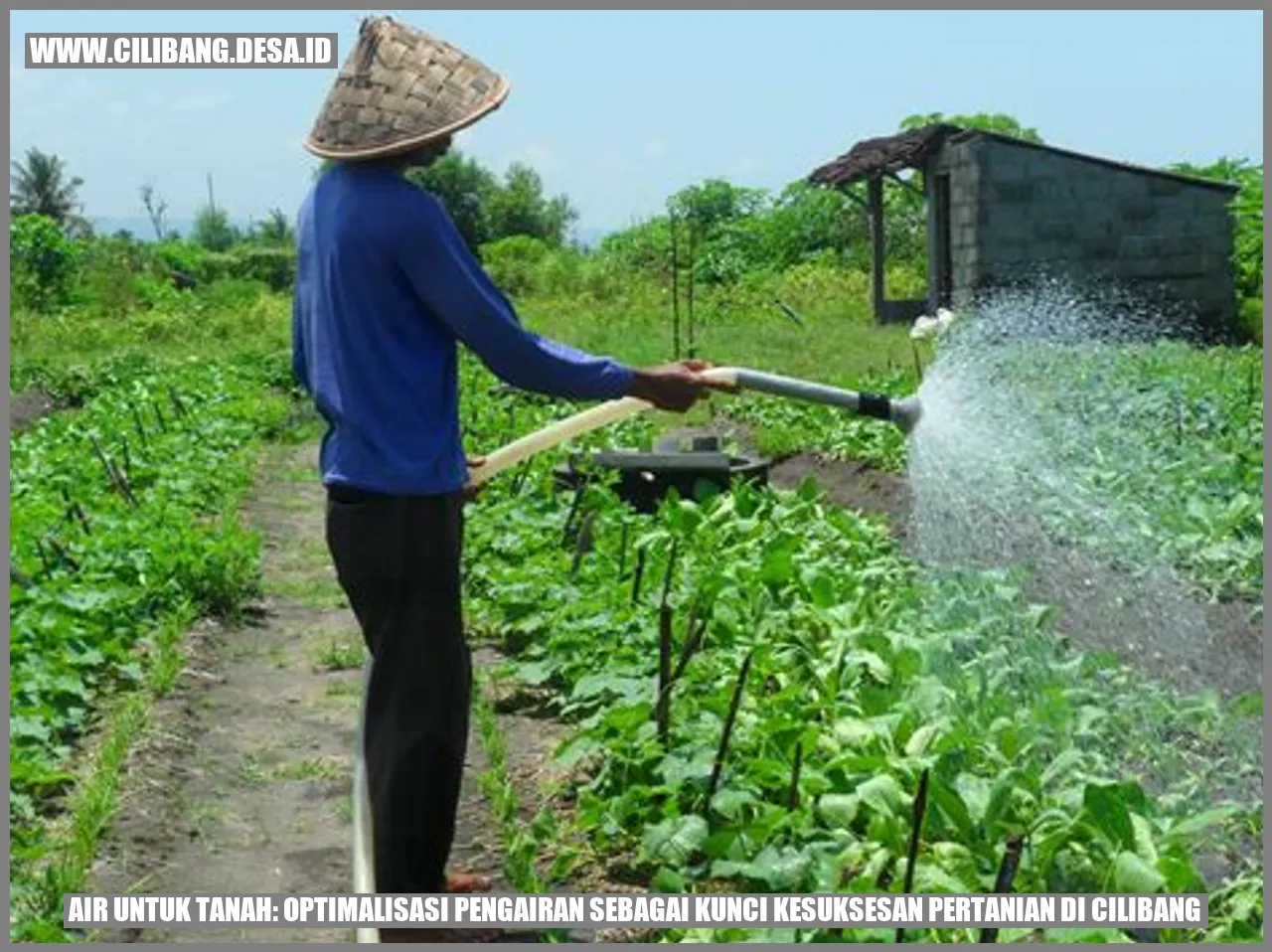 Air Untuk Tanah: Optimalisasi Pengairan sebagai Kunci Kesuksesan Pertanian di Cilibang