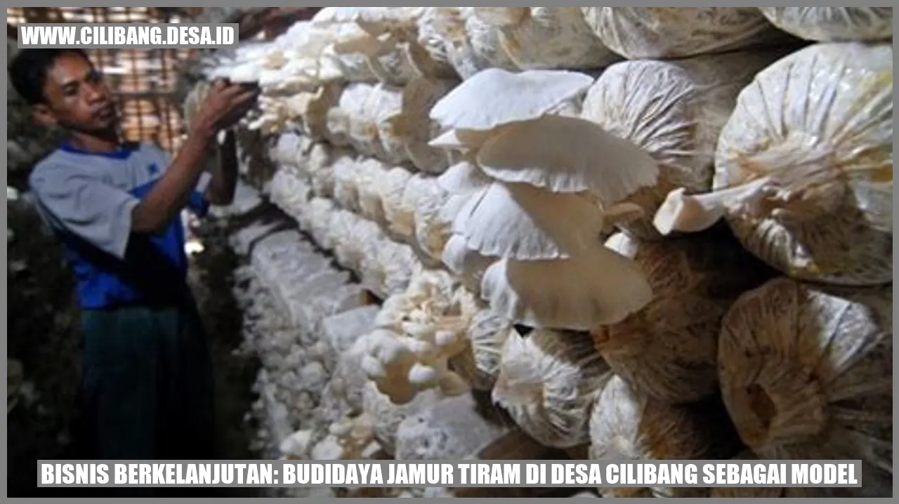 Budidaya Jamur Tiram di Desa Cilibang