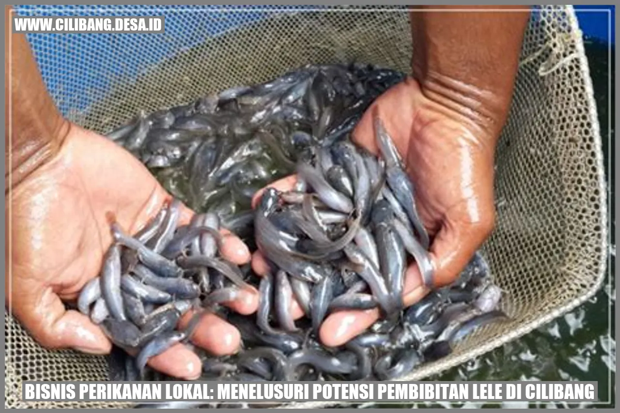Potensi Pembibitan Lele di Cilibang