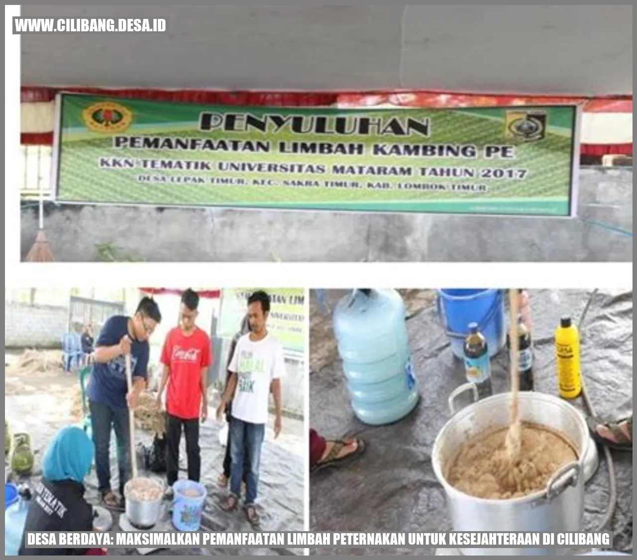 Desa Berdaya: Maksimalkan Pemanfaatan Limbah Peternakan untuk Kesejahteraan di Cilibang