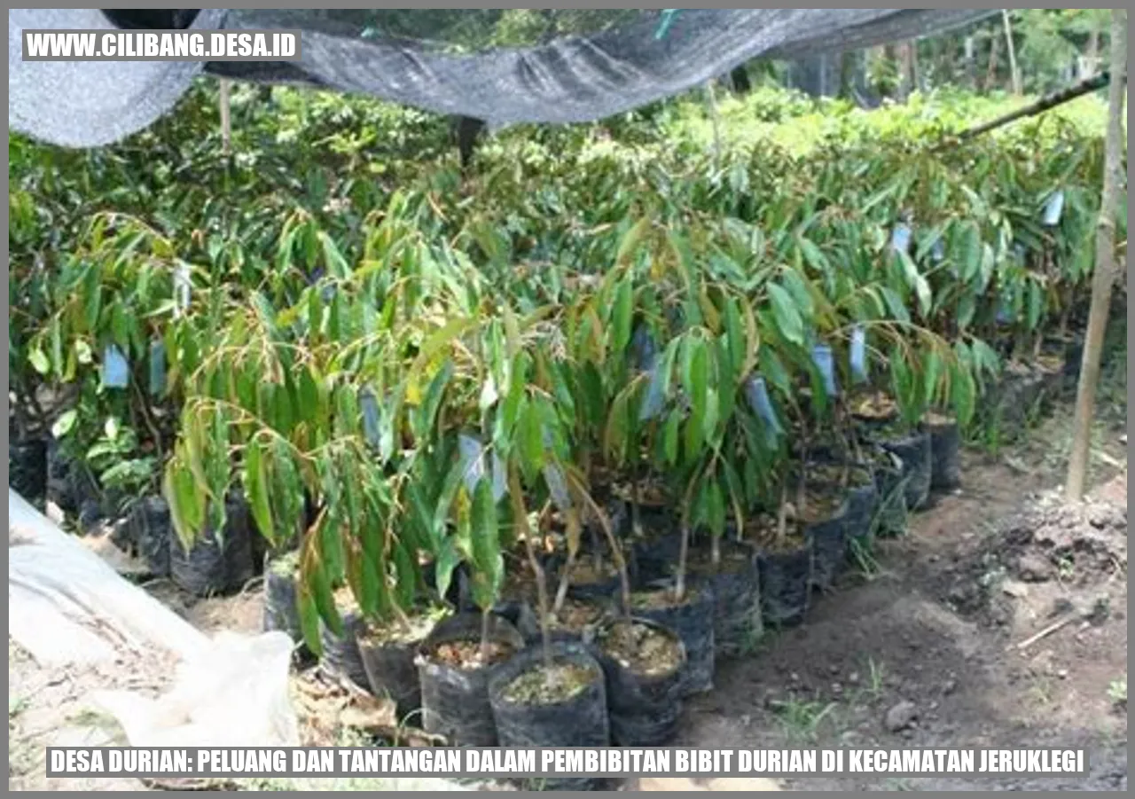 Gambar Desa Durian: Peluang dan Tantangan dalam Pembibitan Bibit Durian di Kecamatan Jeruklegi
