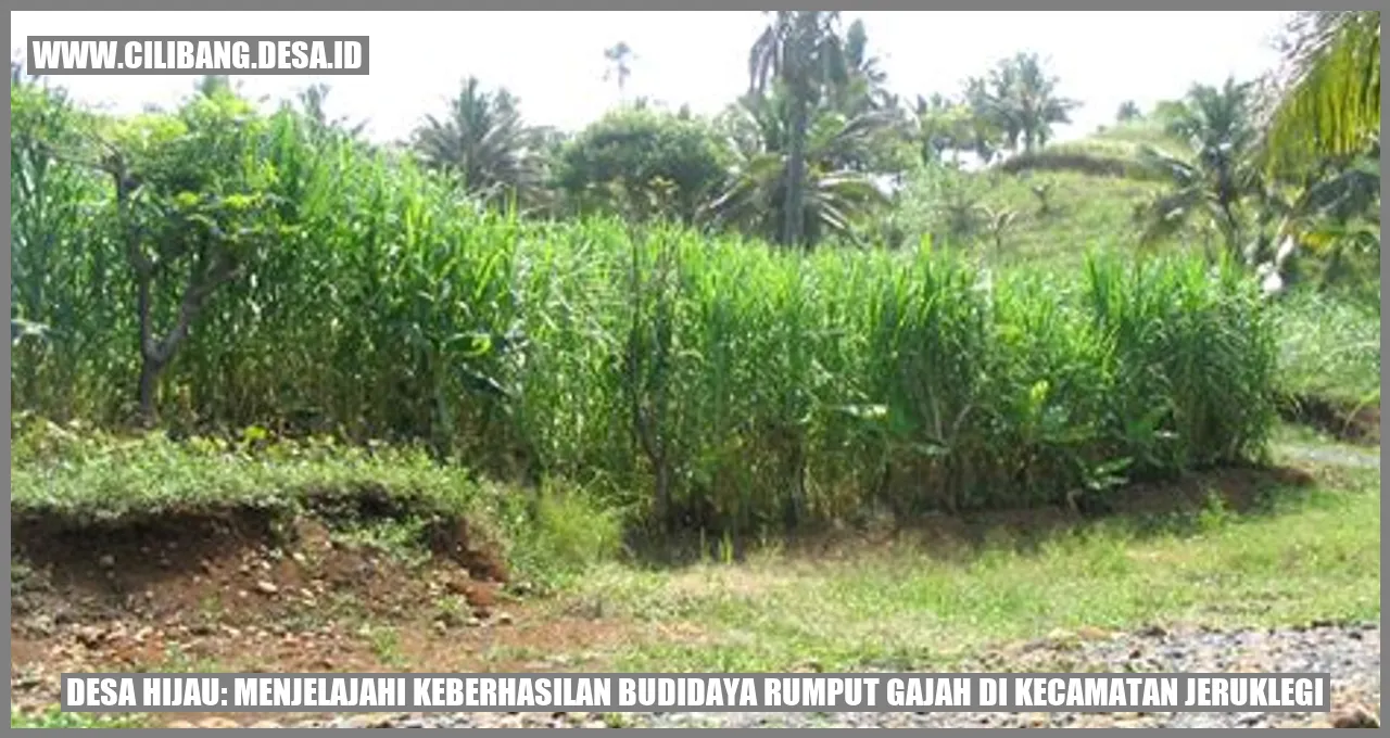 Gambar Desa Hijau