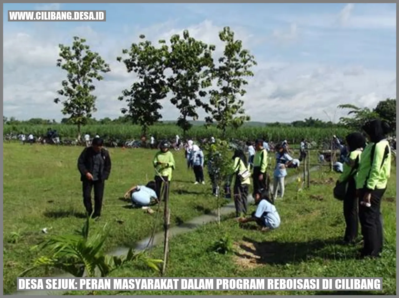 Desa Sejuk: Peran Masyarakat dalam Program Reboisasi di Cilibang
