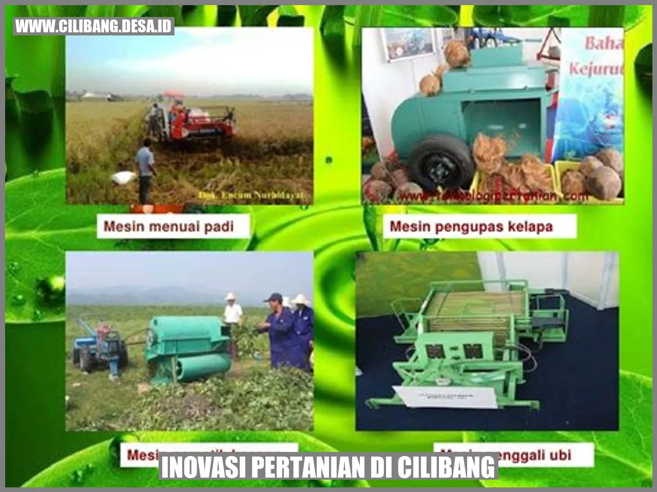 Inovasi Pertanian di Cilibang