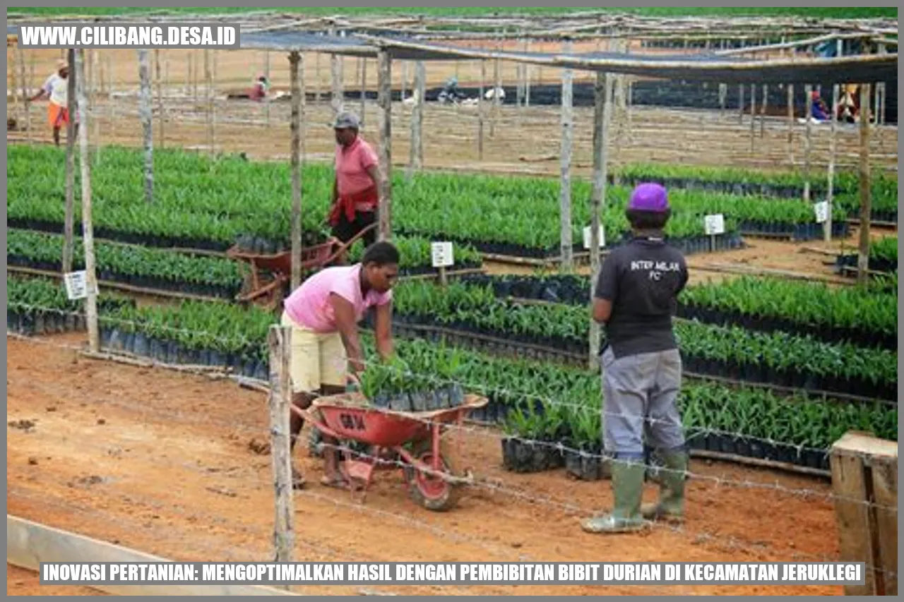 Inovasi Pertanian: Mengoptimalkan Hasil dengan Pembibitan Bibit Durian di Kecamatan Jeruklegi