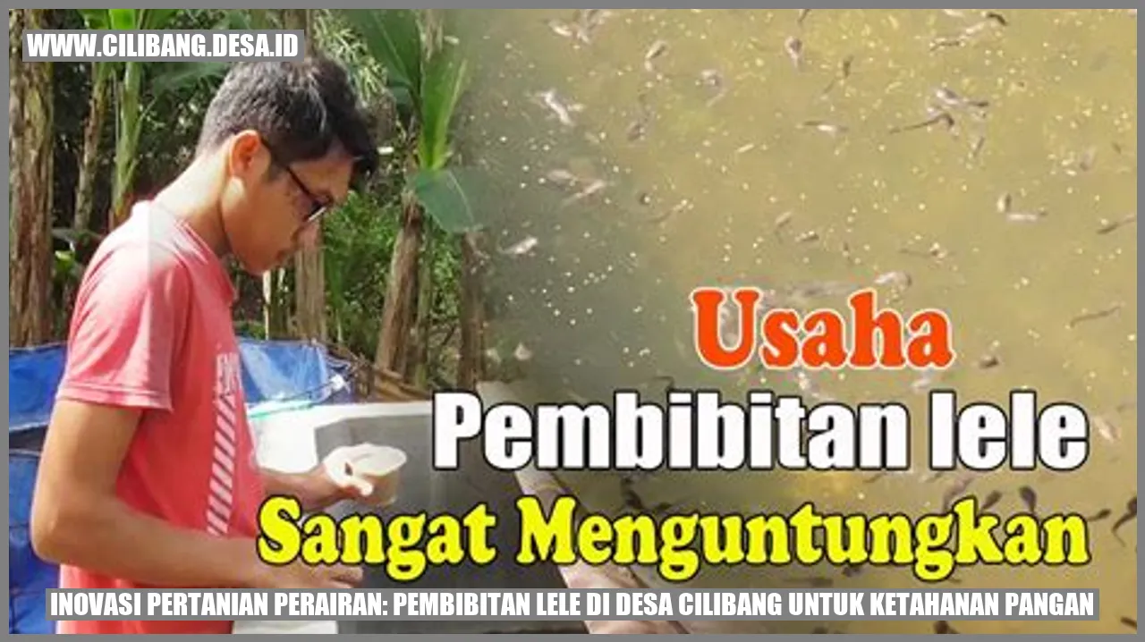 Inovasi Pertanian Perairan: Pembibitan Lele di Desa Cilibang untuk Ketahanan Pangan