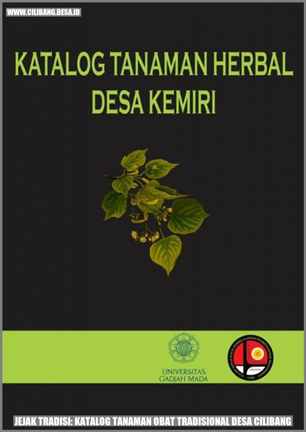 Jejak Tradisi: Katalog Tanaman Obat Tradisional Desa Cilibang