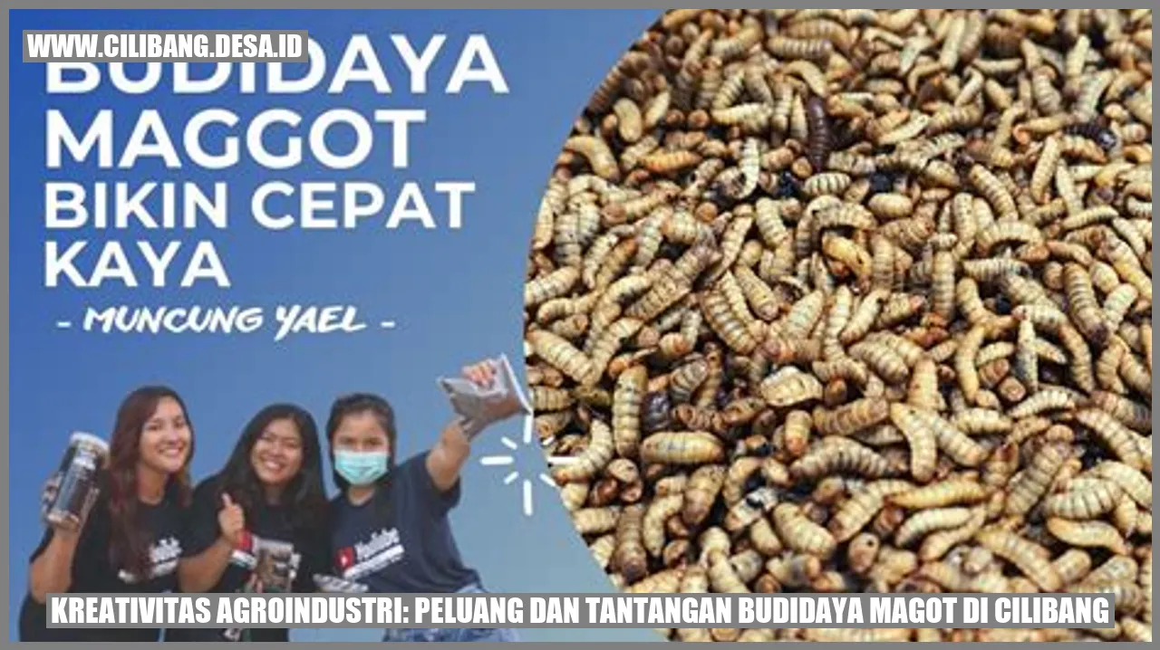 Kreativitas Agroindustri: Peluang dan Tantangan Budidaya Magot di Cilibang
