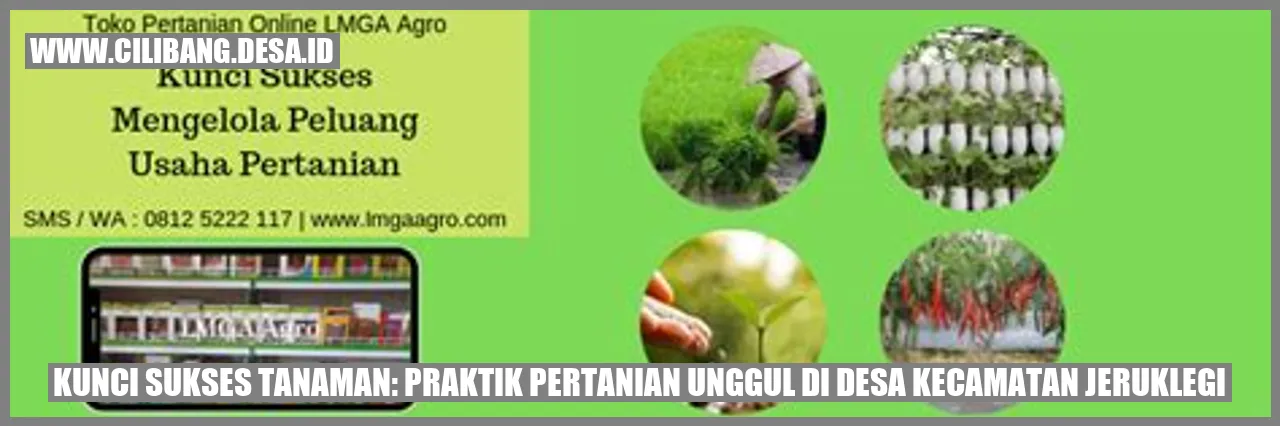 Kunci Sukses Tanaman: Praktik Pertanian Unggul di Desa Kecamatan Jeruklegi