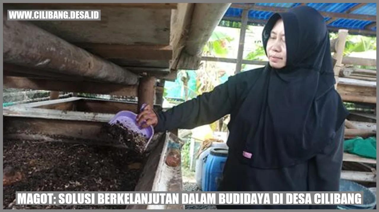 Gambar Magot: Solusi Berkelanjutan dalam Budidaya di Desa Cilibang