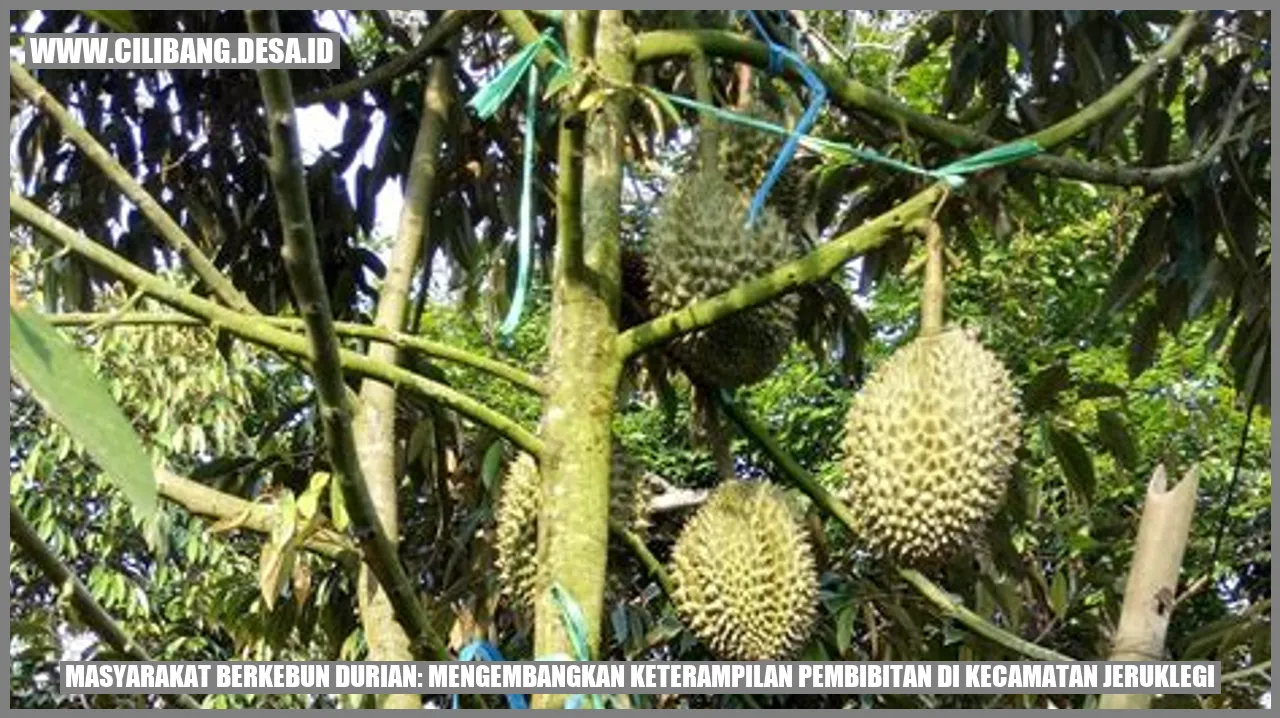 Gambar Pembibitan Durian