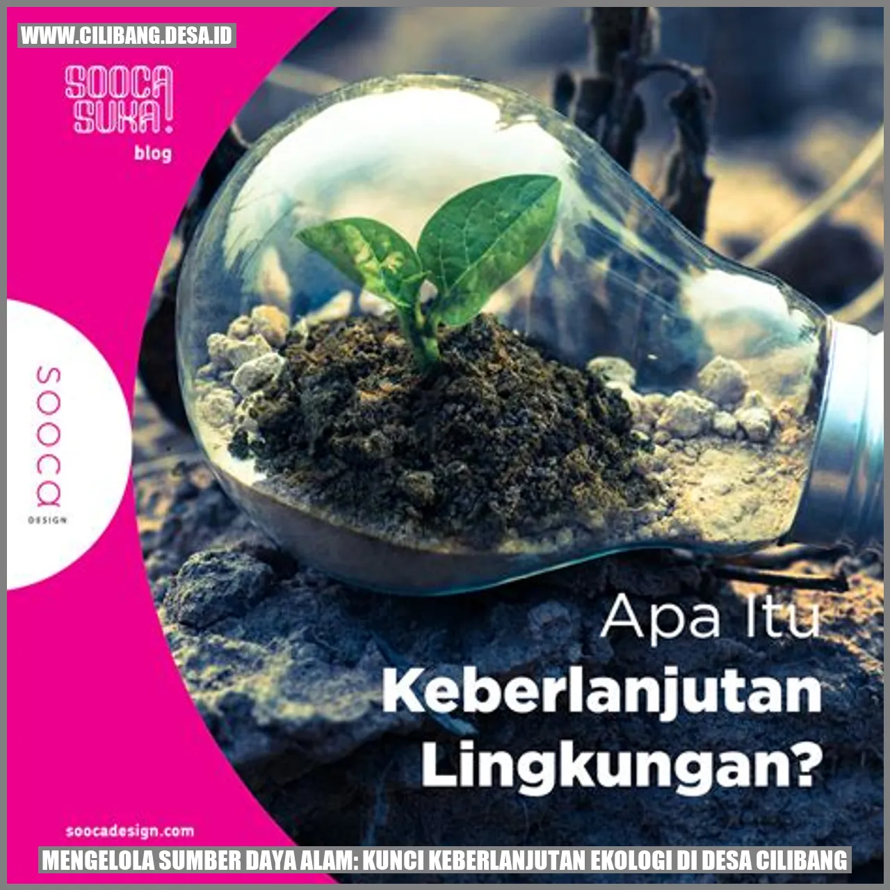 Mengelola Sumber Daya Alam: Kunci Keberlanjutan Ekologi di Desa Cilibang