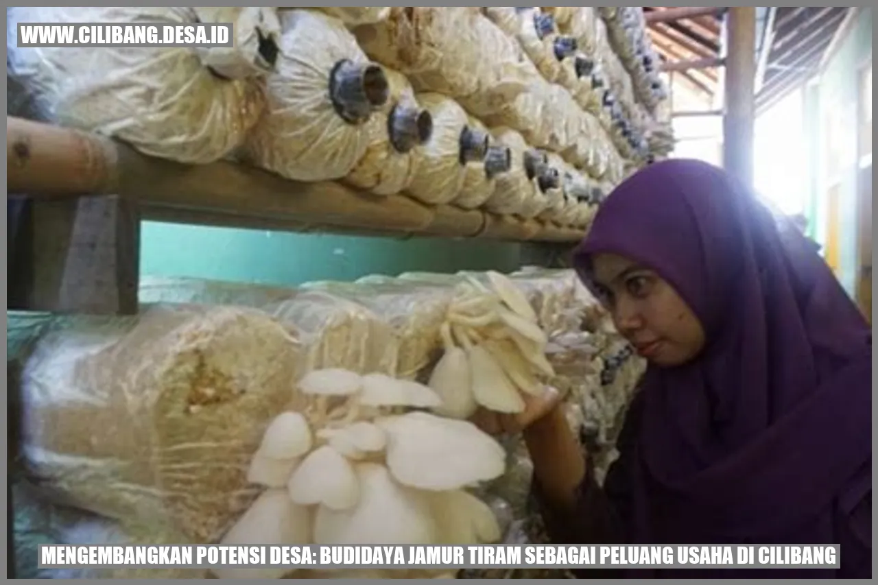 Gambar budidaya jamur tiram di desa Cilibang