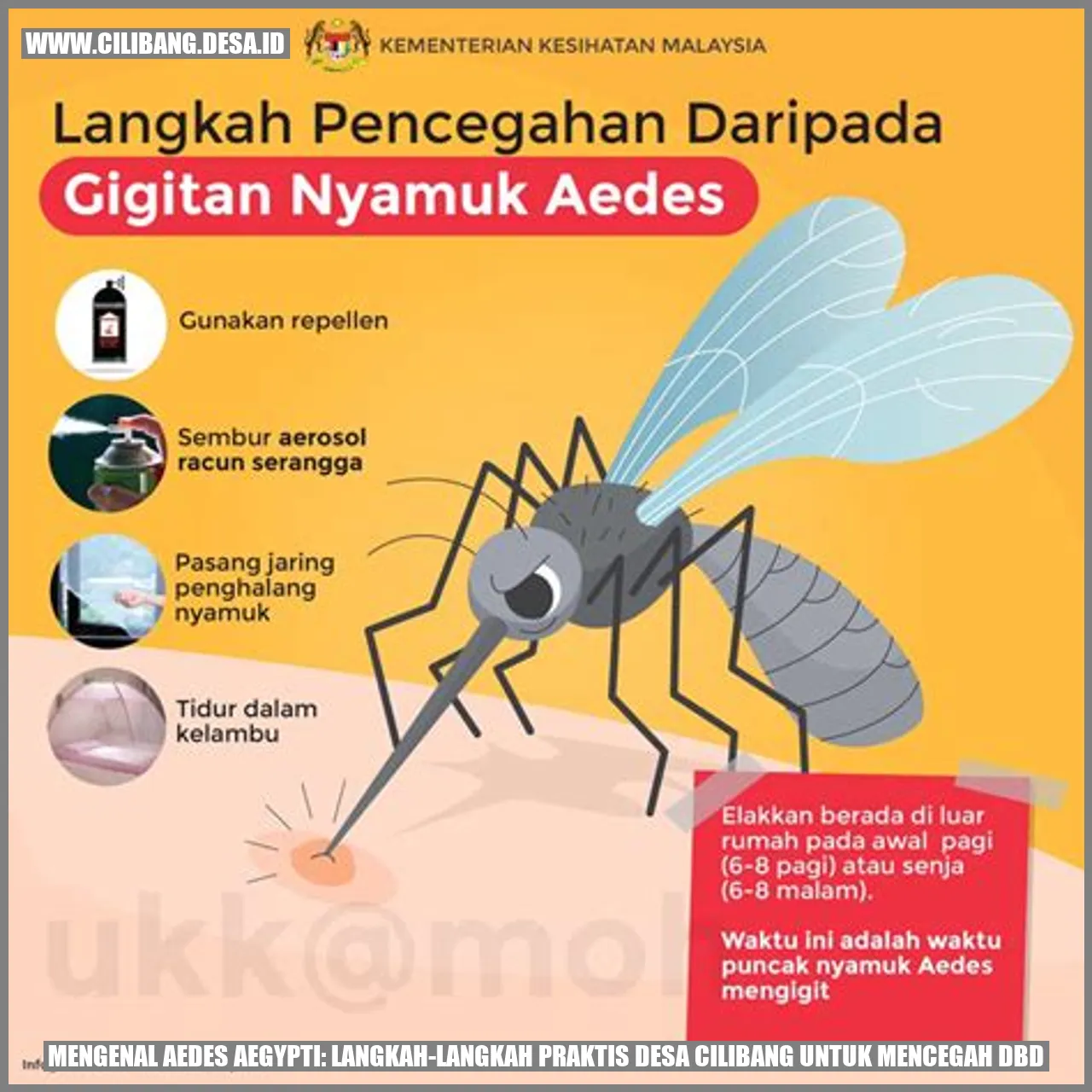 Mengenal Aedes aegypti: Langkah-langkah Praktis Desa Cilibang untuk Mencegah DBD