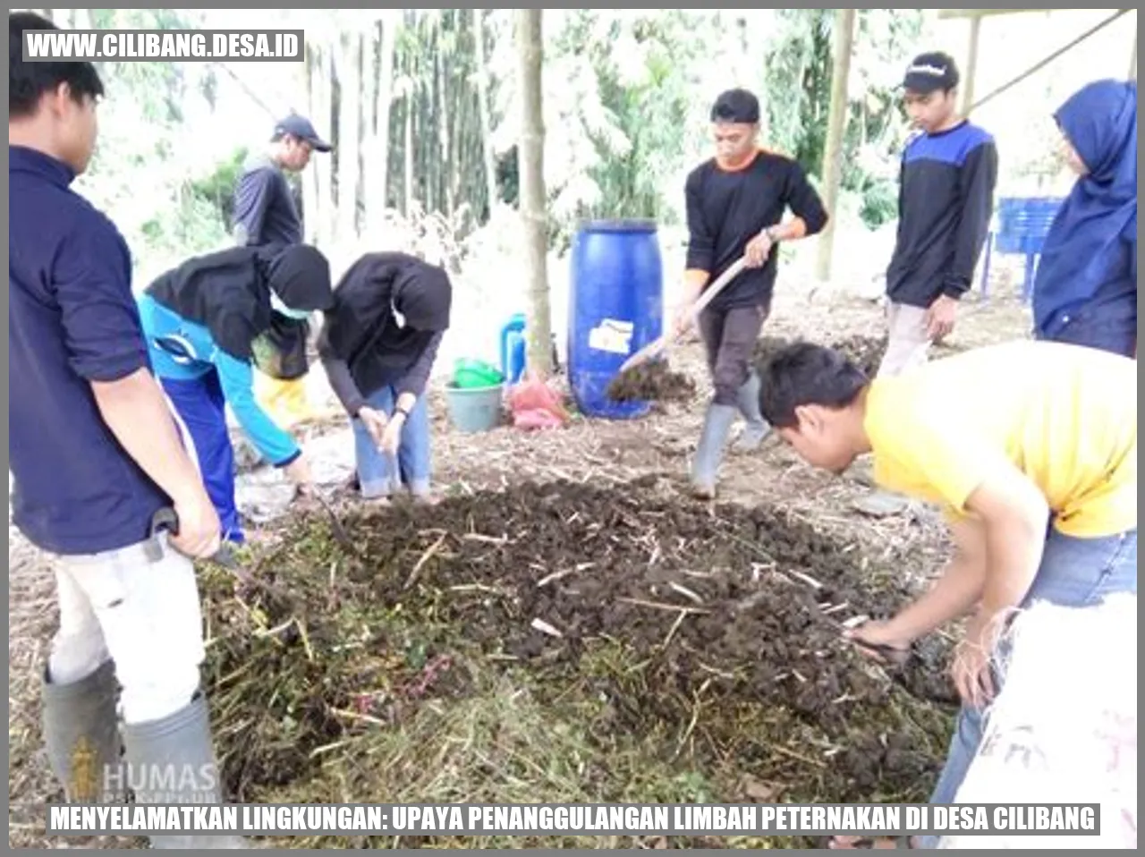 Menyelamatkan Lingkungan: Upaya Penanggulangan Limbah Peternakan di Desa Cilibang