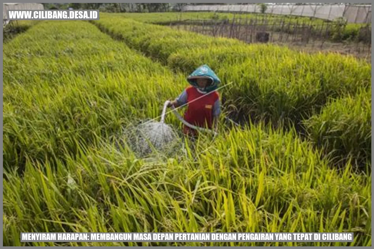 Gambar pengairan di pertanian