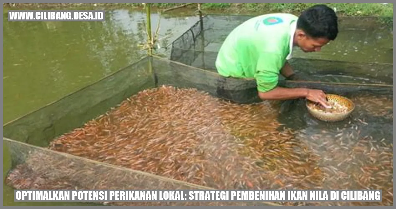 Optimalkan Potensi Perikanan Lokal: Strategi Pembenihan Ikan Nila di Cilibang