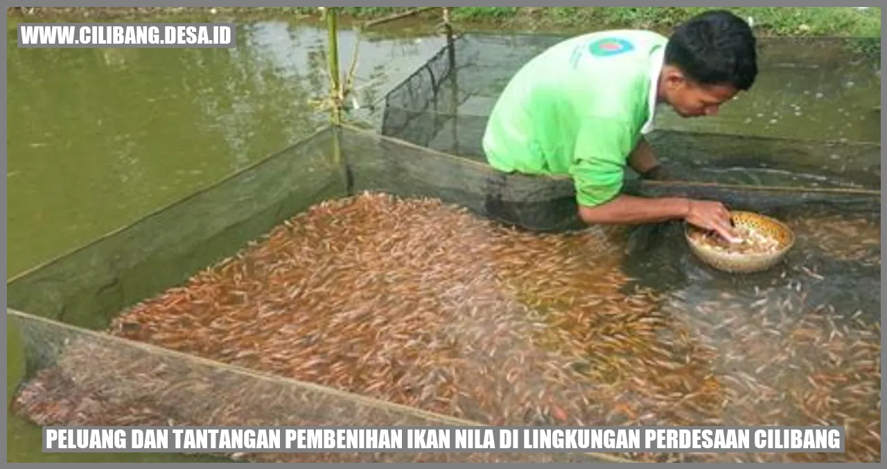 Peluang Pembenihan Ikan Nila di Lingkungan Perdesaan Cilibang