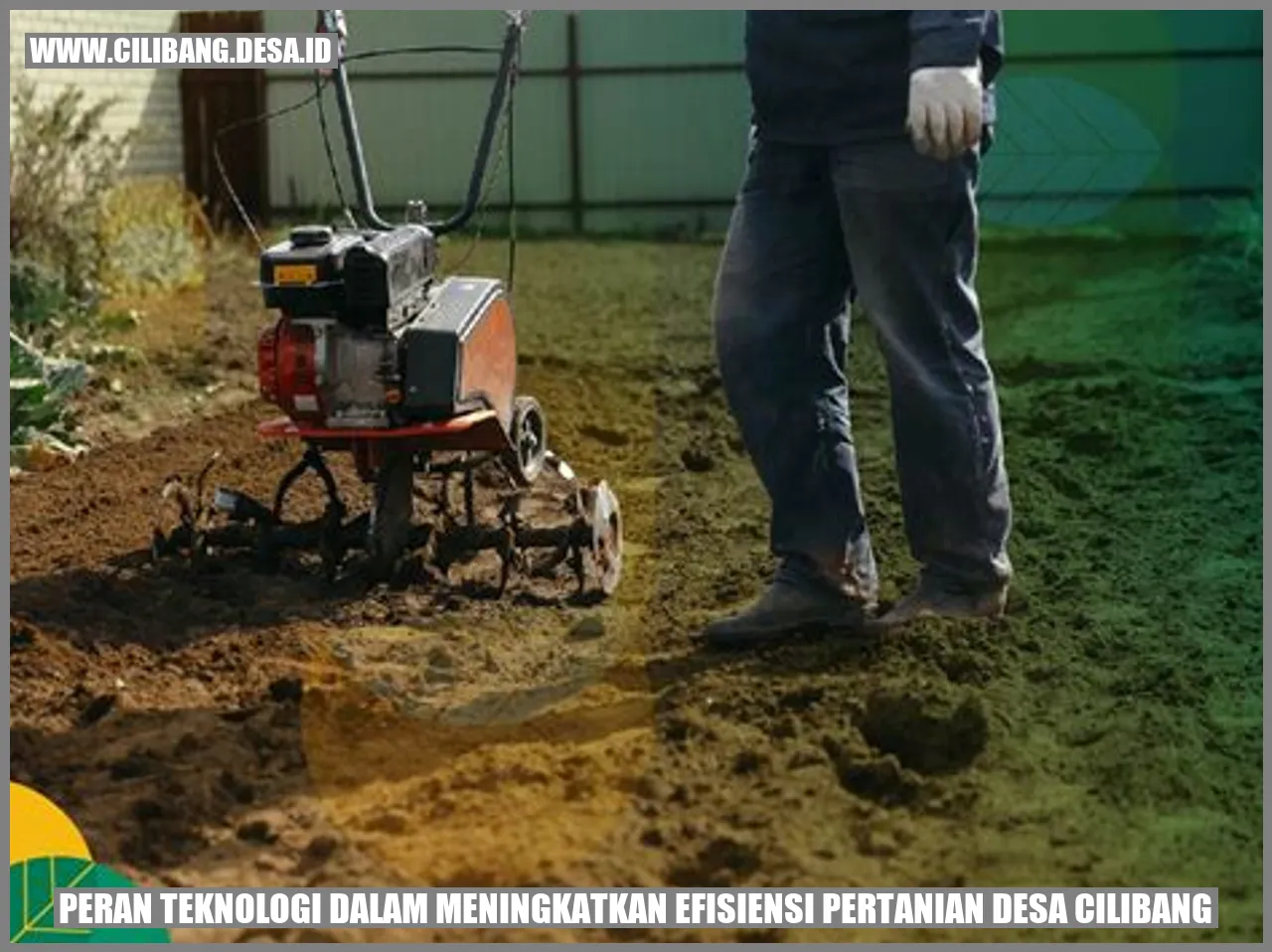 Peran Teknologi dalam Meningkatkan Efisiensi Pertanian Desa Cilibang