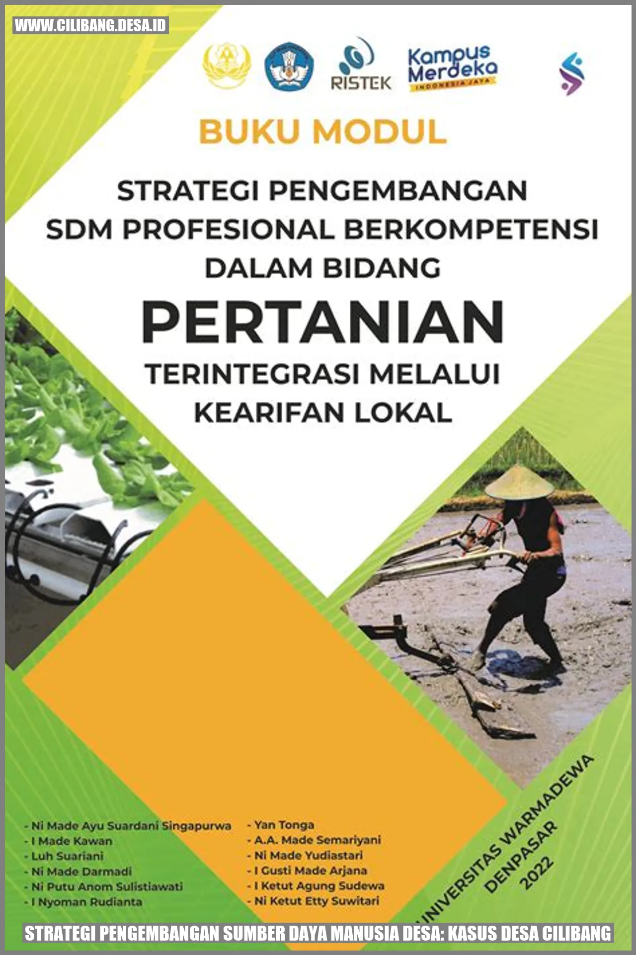Gambar Desa Cilibang