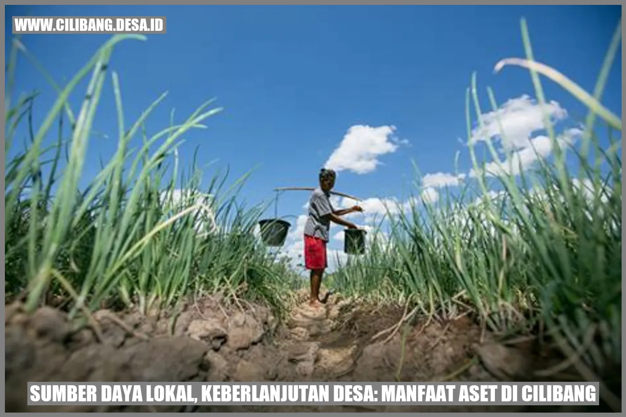 sumber daya lokal